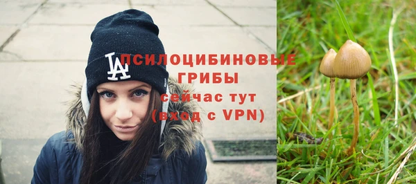 бутират Белокуриха