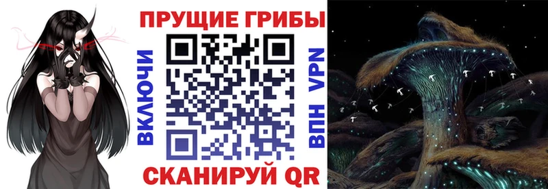 мега tor как найти наркотики Гулькевичи Псилоцибиновые грибы мухоморы